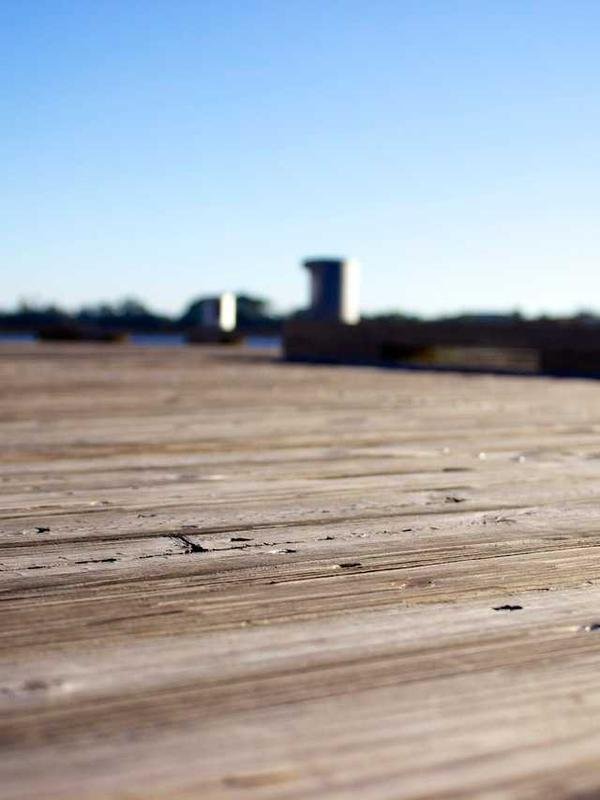 Trexx athlete — yoga instructor
